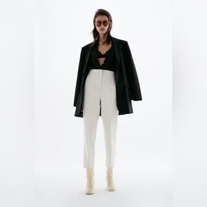 Zara High-Waisted Pants
